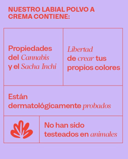 Labial lipssible x 4 Unidades